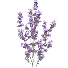 Lavender Bouquet: A Still Life of Purple Floral Delights