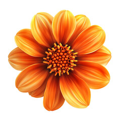 Vibrant Orange Dahlia Bloom: A Close-Up Study of Nature's Beauty