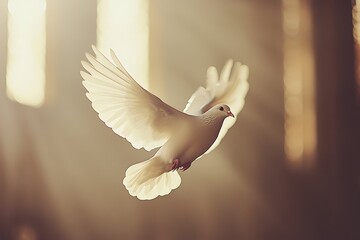 Holy spirit depicted by dove and soft beams of light
