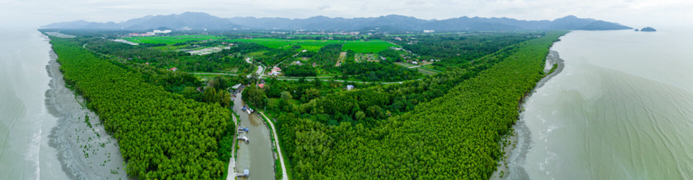 Aerial drone view of calm island beach scenery with green mangroves forest at Pantai Malindo, Balik Pulau, Pulau Pinang, Malaysia.
