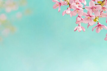 Delicate Cherry Blossom Branch with Soft Bokeh Background in Spring Season