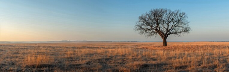 A single tree silhouettes against the horizon of an empty plain, illustrating profound loneliness in soft morning light