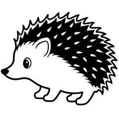 Hedgehog on white background