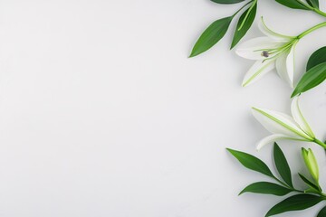 Elegant White Lilies with Green Leaves on Minimalistic White Background