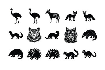 set of animal and Diverse Species Collection