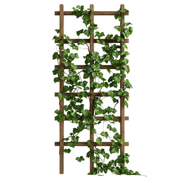 Wooden Trellis Covered in Lush Green Ivy