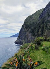 Madeiras majestic coastline showcasing cliffs and mountains surrounded by lush greenery and...