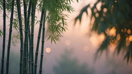 Serene and cinematic keyframe depicting bamboo forest with bokeh morning background
