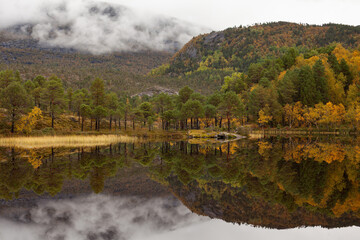Obraz premium Rødøyvatnet at autumn. reflection in the lake. North Norway close to Narvik.
