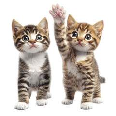 Obraz premium Adorable Kittens Playing: A Paw-some Duo!