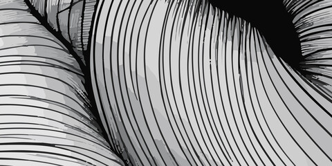 Beautiful black and white background design with flowing black and white lines. A wall background with a vibrant black and white color of the world, lovingly made of a group of lines. black and white