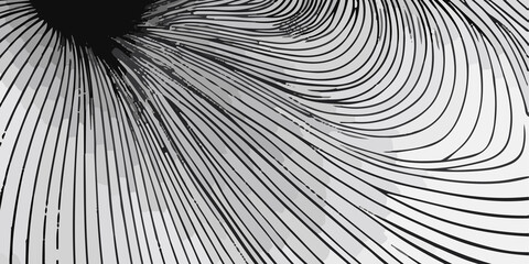 Beautiful black and white background design with flowing black and white lines. A wall background with a vibrant black and white color of the world, lovingly made of a group of lines. black and white