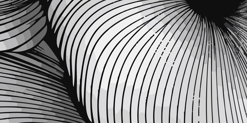 Beautiful black and white background design with flowing black and white lines. A wall background with a vibrant black and white color of the world, lovingly made of a group of lines. black and white
