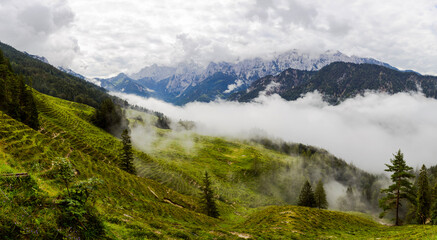 Weidelandschaft in den Alpen mit tiefhängenden Wolken 