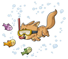 Cat diving with fish