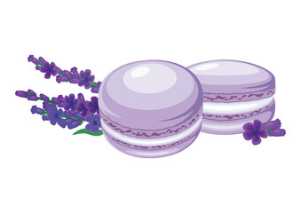 Lavender macarons and lavender sprig icon set vector illustration. Purple french macaroons icon vector isolated on a white background. Macarons and fresh lavender flower drawing
