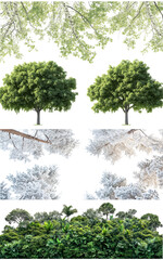 png set Seasonal Tree Landscapes