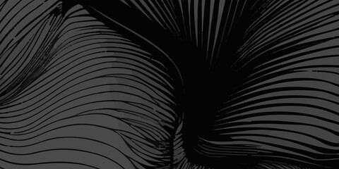 Beautiful dark and light black background design with flowing black and grey lines. A wall background with a vibrant light black and dark black color of the world, lovingly made of a group of lines.
