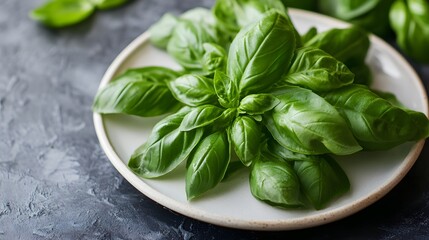 Harvesting fresh basil leaves culinary herb garden food photography kitchen environment close-up organic cooking