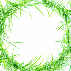 Green grass frame, isolated, spring, nature, border, background, design, template