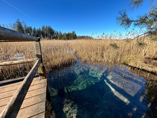 Winter landscape moorlands Osterseen, Iffeldorf, Munich, Bavaria, Germany: The Blue turquoise Pool-Nature formed a funnel with crystal clear clear spring water supplying the sea with high oxygen water