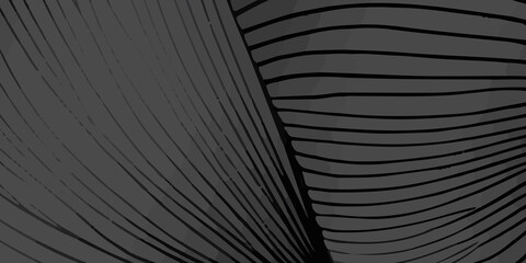 Beautiful dark and light black background design with flowing black and grey lines. A wall background with a vibrant light black and dark black color of the world, lovingly made of a group of lines.
