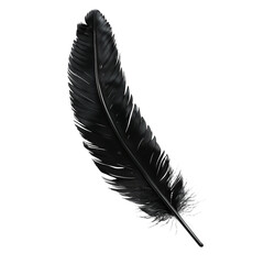 Single, elegant black feather isolated on transparent background.
