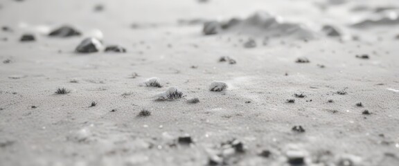 Subtle black & white snow effect Fine grain, delicate texture for overlay , snow, winter backdrop