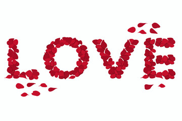 love typography vector design