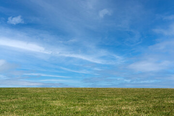 Fototapeta premium Clear Blue Sky with White Clouds Over a Mowed Meadow