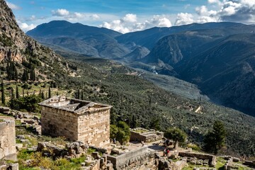 Obraz premium Delphi. Delfos oracle overlooking impressive olive tree valley in Greece. Legacy