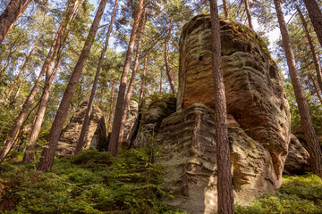 Forest and Rock Formations in Czech Rock City