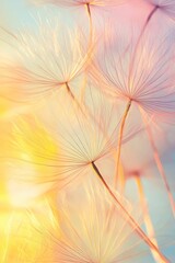 Pastel flower seed heads, backlit, delicate, ethereal.