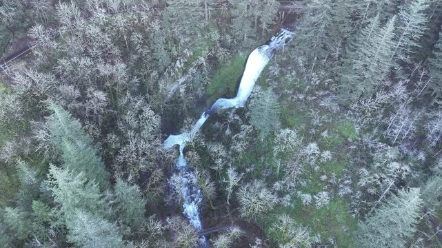 The spectacular Bridal Veil Falls flows through a healthy forest in the Columbia River Gorge National Scenic Area, Oregon. The gorge, not far from Portland, contains a plethora of scenic waterfalls.