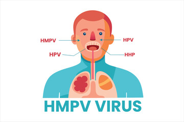 HMPV virus banner, Human Metapneumovirus respiratory virus vector ,HMPV virus outbreak, virus floating in a cellular environment vector background