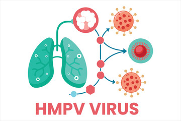 HMPV virus banner, Human Metapneumovirus respiratory virus vector ,HMPV virus outbreak, virus floating in a cellular environment vector background