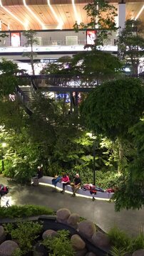 The Orchard. Hamad International Airport in Doha, Qatar. Vertical video