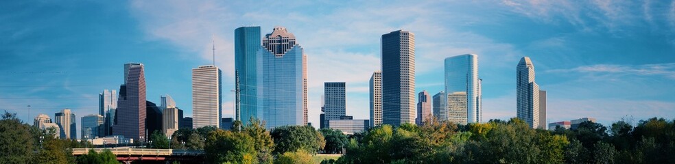 Downtown Houston 