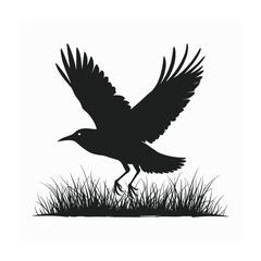 Bird silhouette vector illustration