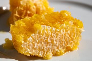 Thick honey melting from the honeycomb