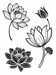 set of lotus flowers