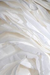 Torn Paper Layers Delicate Abstract Gentle Petal Texture Background