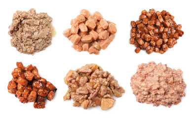 Wet pet food on white background, top view. Set