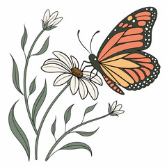 butterfly and flowers