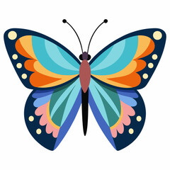 butterfly on a white background