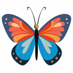 butterfly on a white background