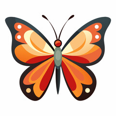 butterfly isolated on white background