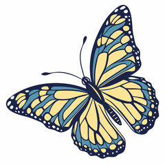 butterfly on a white background