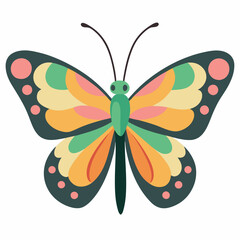 butterfly isolated on white background