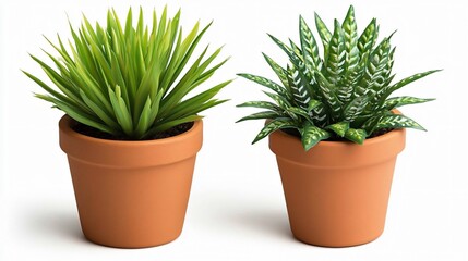 Obraz premium Two Artificial Plants in Terracotta Pots Home Decor